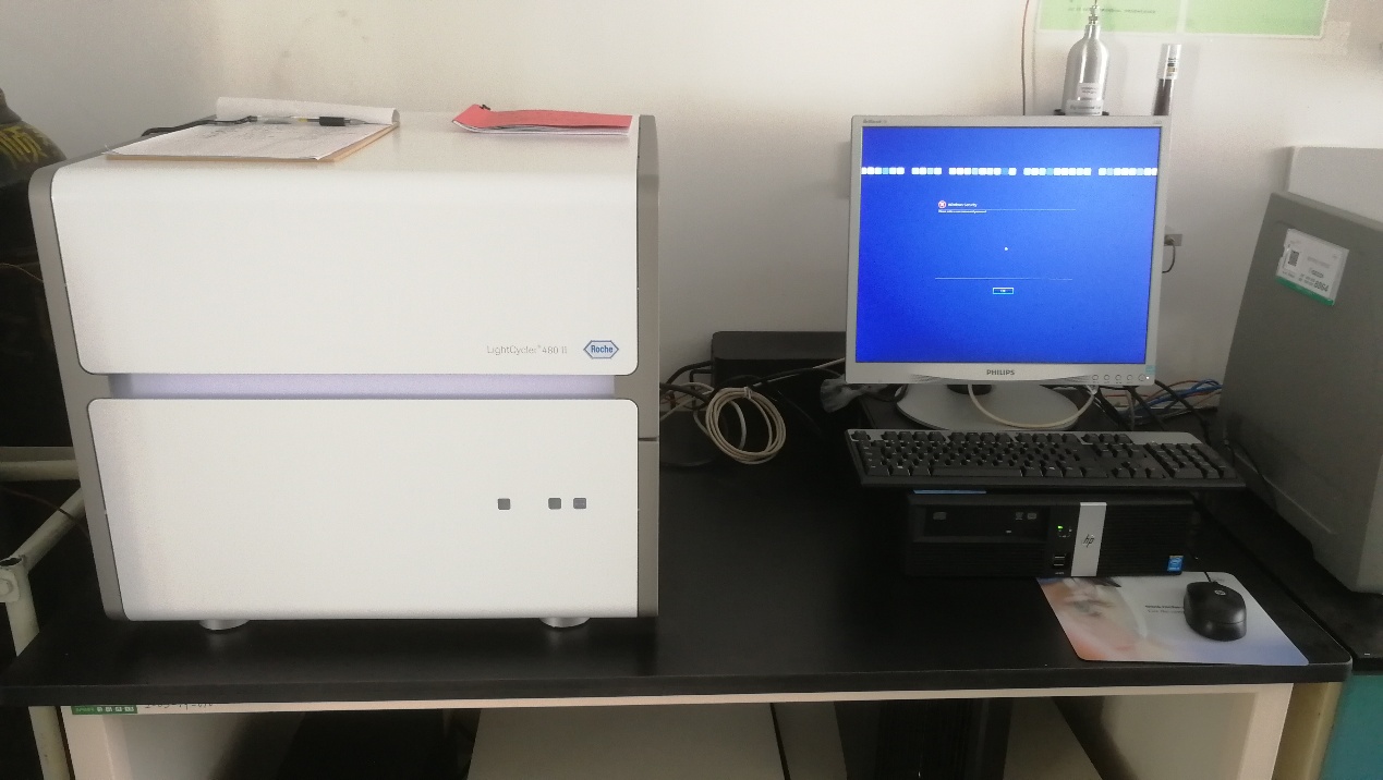 荧光定量PCR仪（LightCycler480 Ⅱ）