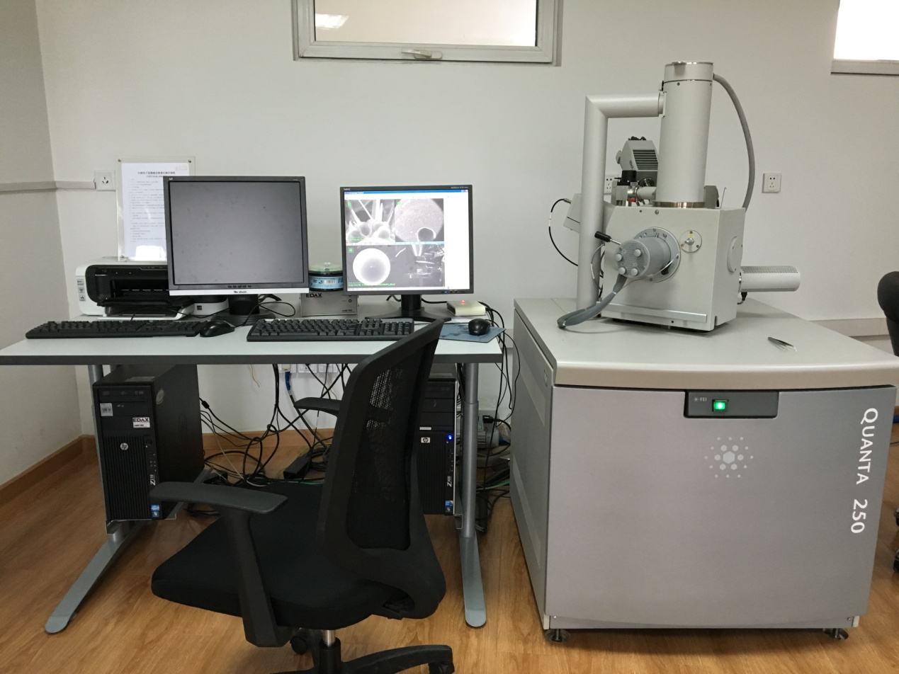 环境扫描电子显微镜（Quanta 250）